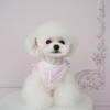 Warm Winter Dog Dress Teddy Poodle Shih Tzu Small Breeds Floral Cotton Skirt Princess Style Pet Clothing
