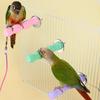 Pet Paw Grinding Stick Bird Parakeet Parrot Toy Bird Toy Claw Grinder Bird Gripper Grinding Gri V6O0