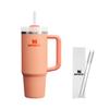 Vacuum Quencher Nectarine 880ml Water Bottle Straw Cold Insulated Sturdy with Lid Water Bottle Tumbler Mug Outdoor Dishwasher Safe Warranty