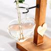 Vase Water Planting Propagation Stations Home Decor Creative Crafts Hydroponic Vase Vintage Plant Terrarium Planter Bulb Glass