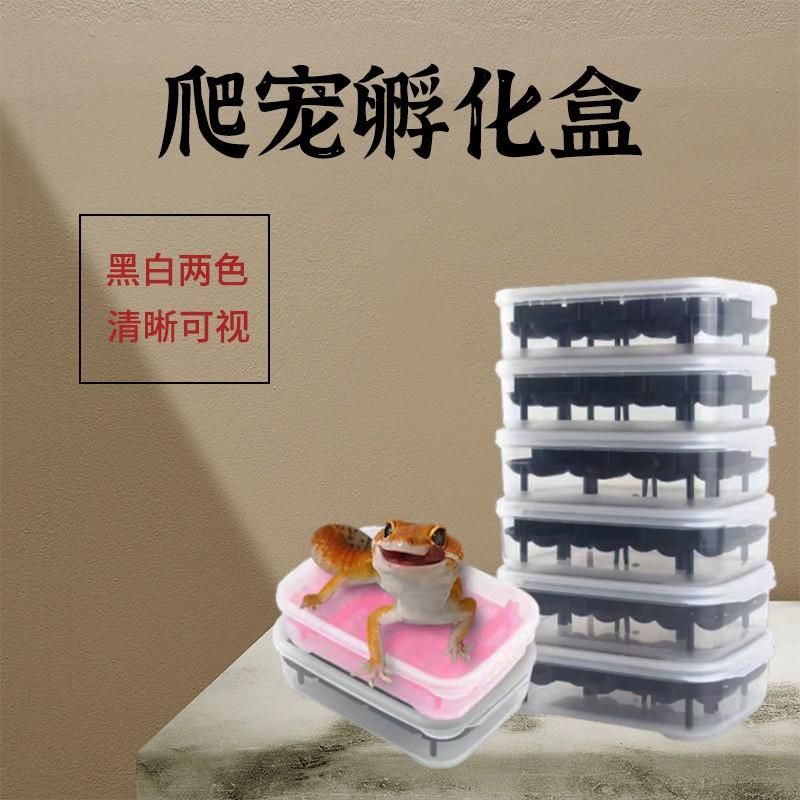 14-Cell Reptile Egg Incubation Tray Geckos Lizards Snakes Breeding Hatch Box PP Plastic