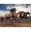 5D Diamond Painting Cross Stitch Horse Full Round Diamond Embroidery Animals Picture