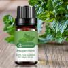 10ml Practical Essential Oil Nourishing Mint Leaf Moisturizing Skin