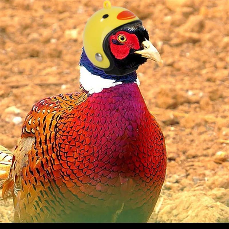 Куриный шлем, кепка для домашних животных, защитное снаряжение, защита от солнца и дождя, шлем, игрушка, птица, куры, маленькие товары для домашних животных, костюмы, аксессуары