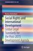 Книга Social Rights and International Development : Global Legal Standards for the Post-2015 Development Agenda