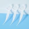 Portable Dental Floss Sticks