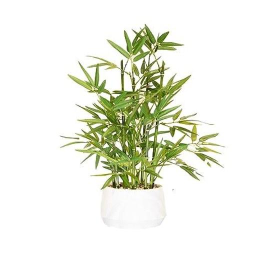 365 Blooming Decor ornamental artificial bamboo bonsai fake green foliage plant tree flower air purifying height 46cm indoor office potted lucky