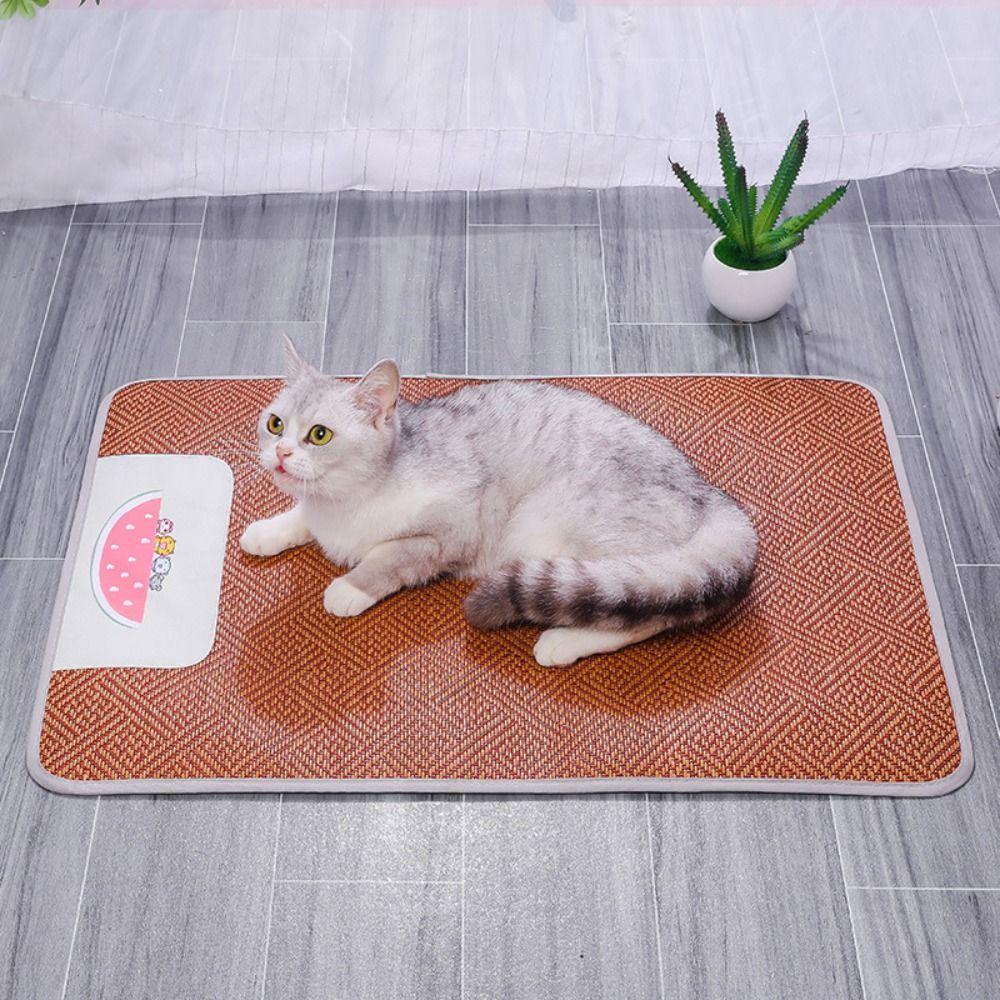 Comfortable Breathable Pet Cooling Mat Keep Cooling Washable Cat Sleeping Pad Portable Watermelon Pattern Ice Vine Mat Summer