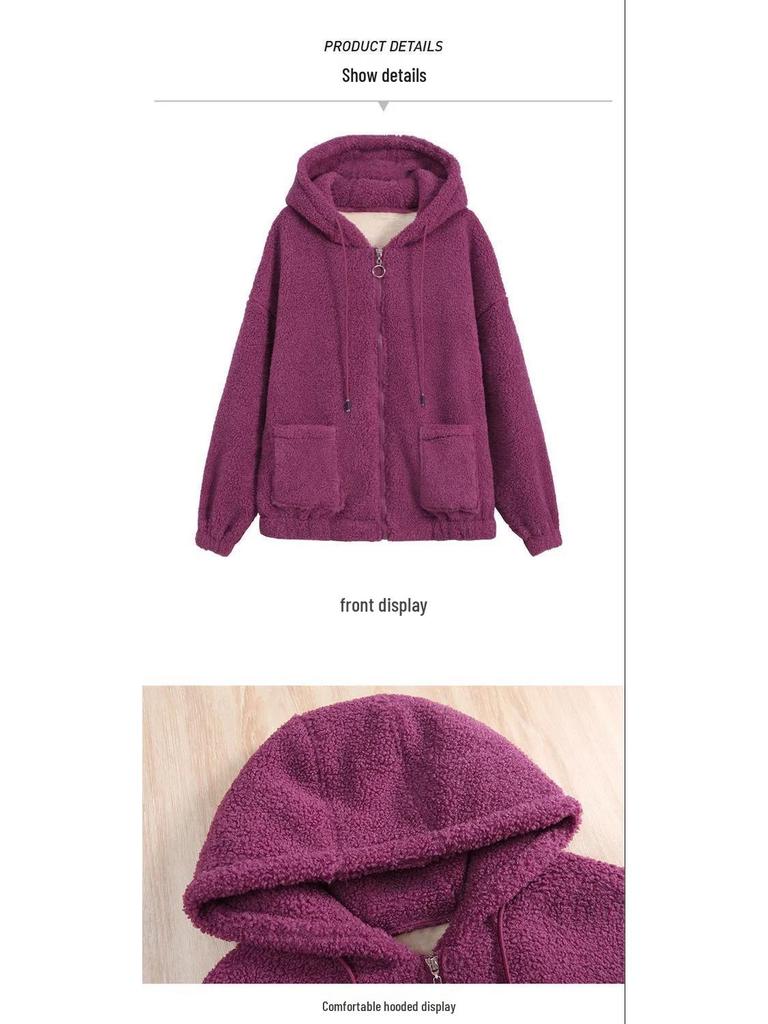 Women's Six-Color Teddy Fleece Hoodie: Korean Style, Plus-Size, Thick Autumn/Winter Cardigan