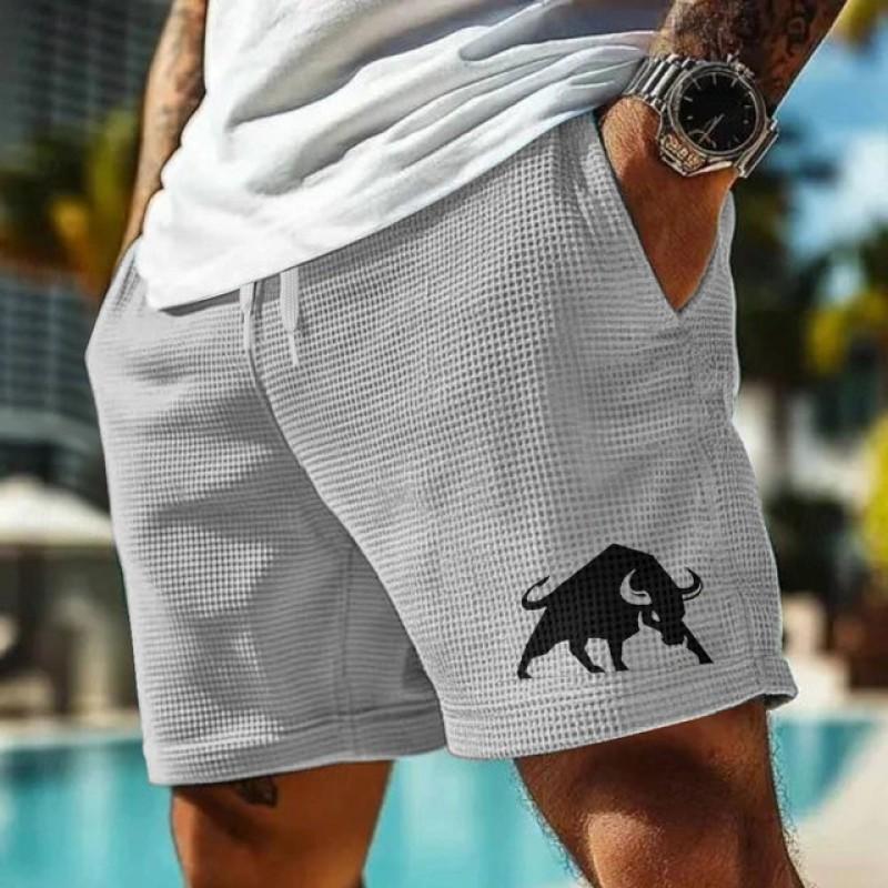 Mens Loose Quick Dry Beach Shorts 3D Print Athletic Casual