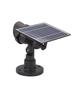 Solar Garden Landscape Spotlight