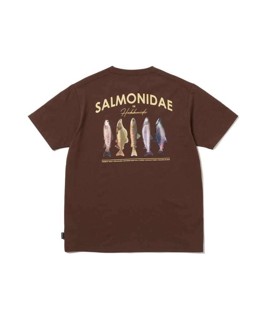 Футболка Northland Trout Dry Short M [Snow Peak] T-shirt TS-26SU008 Футболка, Рукав, Мужская/Женская, КОРИЧНЕВЫЙ,