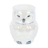 Iridescent Owl Oil Burner