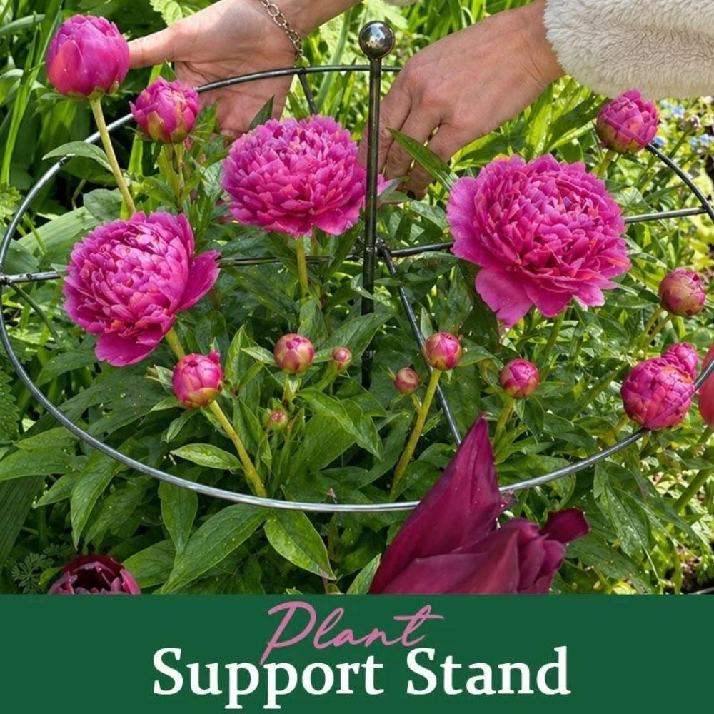 Weather-Resistant Metal Plant Support Ring Peony Flower Support Stake Plant Growth Fixing
