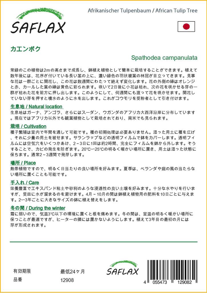 SAFLAX Африканское тюльпановое дерево - 30 семян - С горшечным субстратом для лучшего выращивания - Spathodea Campanulata