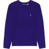Polo однотонный вышитый логотип с круглым вырезом свитер мужской свитер фиолетовый 710876762-024