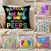 Open Peeps Pillow Case Anti-dustmite Pillowcase Invisible Zipper Silky Short Plush Sofa Cushion Cover