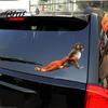 Colorful Car Decals 1 Sheet Sticker Monkey Punch Window Decal Waterproof DIY Scratch Resistant Laptop Water Bottle Phone Case Travel Auto