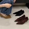Pointed Small Low-heeled High Heels 2025 Autumn New Temperament Suede Fashion Versatile Retro Thin Commuter Shoes
