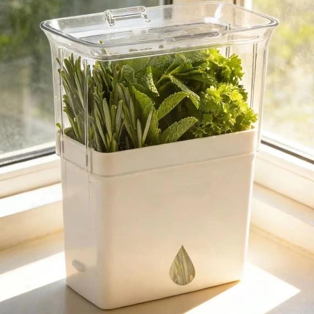 Large Capacity Fresh Herb Keeper Plastic Herb Lettuce Keeper Vanilla Bean Storage Box Mint
