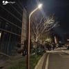 Уличный ландшафтный и садовый светильник Liangmingjia