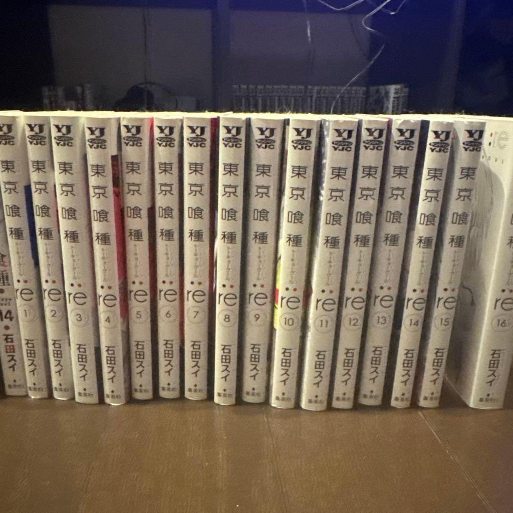 [USED] Tokyo Ghoul Unbranded + Re 1 Bonus Item Included
