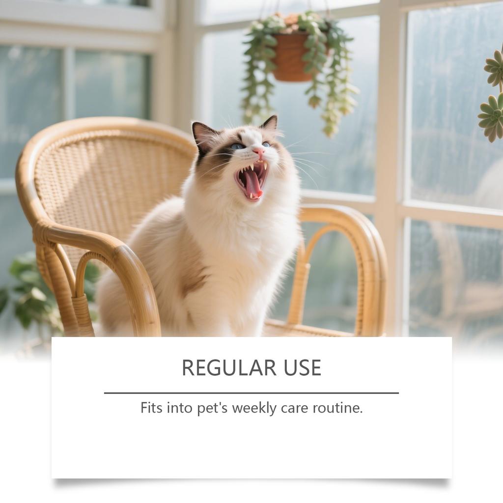 The Care Kit Contains A Three Sided Toothbrush And Natural Toothpaste To Reduce Plaque And Tartar Buildup