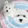 Pet Custom Portrait Rugs Living Room Bedroom Round Soft Comfortable Plush Floor Mats Cute Cats Dogs Carpet Unique Gifts for Pets
