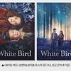 2 Типа Белых Птиц Постеры Белая Птица Романтический Чудесный Постер