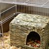 Трава   Домик Кролика Складной   Плетеный     для Морской Свинки   Хомяка Шиншиллы Мелкого Животного Жевание