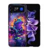 Why Are Frogs Important Phone Case For Samsung Z Flip 7 6 5G Galaxy Z Flip4 Z Flip5 Z Flip3 Coque Black Hard PC Shell Protective