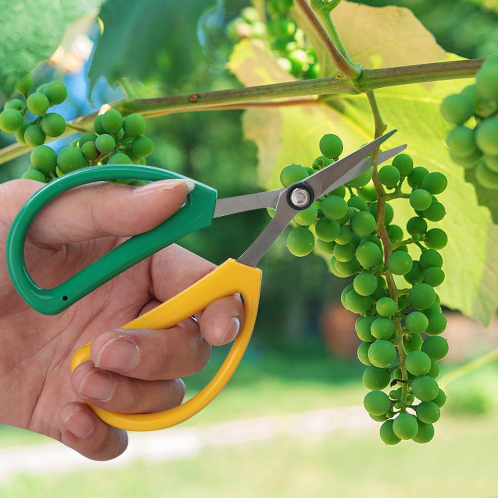 Цветочные ножницы из нержавеющей стали, ножницы для обрезки растений, садовый резак, ручной секатор