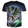 3D Fish Printed T Shirt for Men Summer Men's Carp Fishes Funny T-shirt Women Kids Male Oversized Short Sleeve Tops Tees 100-6XL