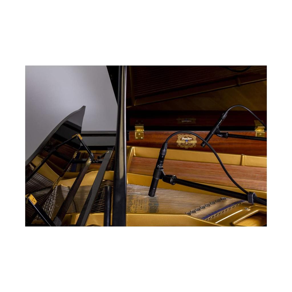 Zoom Конденсаторный микрофон черный Набор из 2 подобранных конденсаторных микрофонов ZPC-1 Карандашного типа карандашного типа