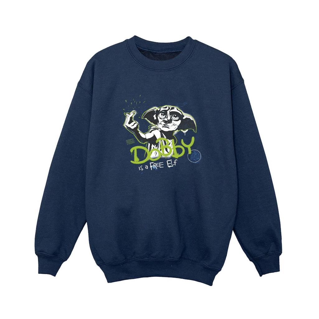 Harry Potter Boys Dobby A Free Elf Sweatshirt