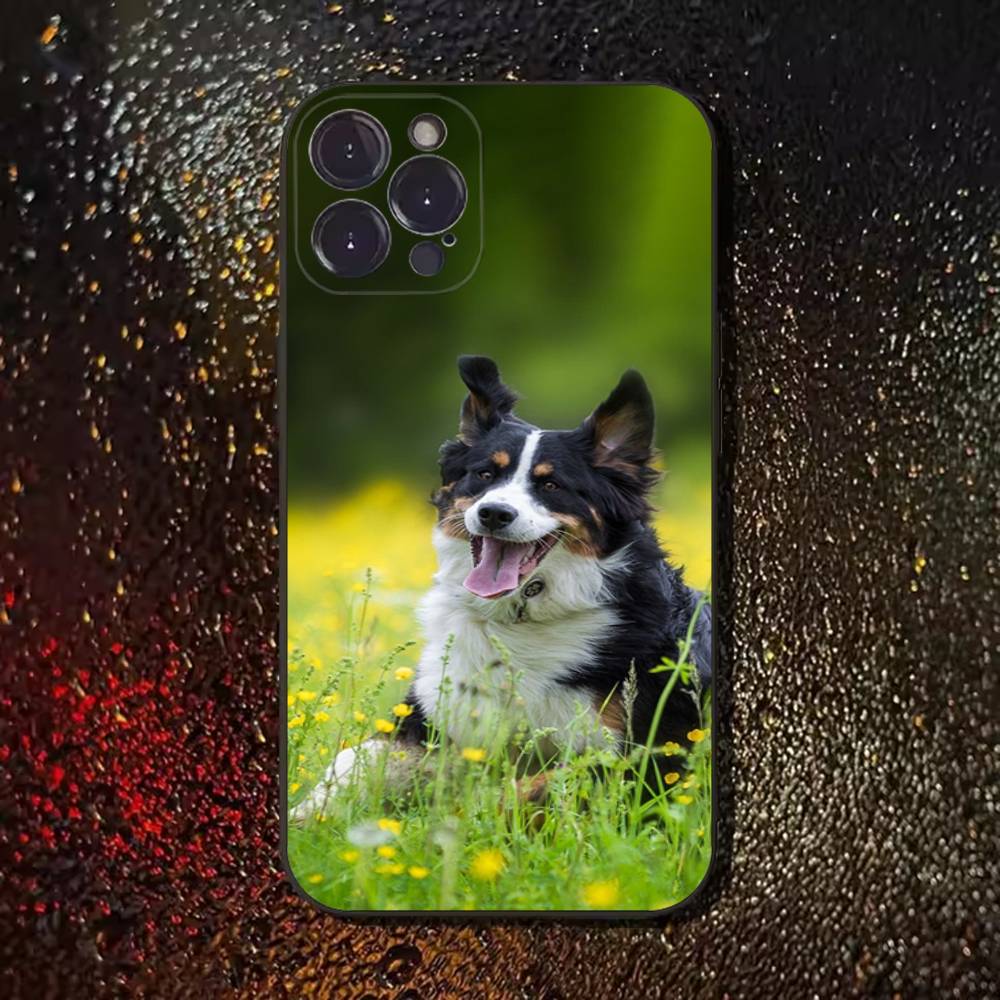 Чехол для телефона с собакой Бордер-колли для iPhone 17,16,15,14,13,12,11 Plus,Pro Max,XS,X,XR,SE,Mini,8,7, Мягкий силиконовый черный чехол