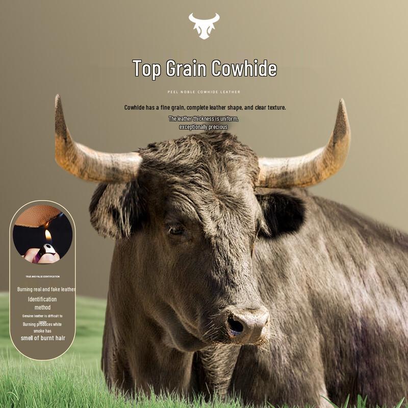 Futing Men's Top-Grain Leather Goose Down Jacket with Mink Fur Collar