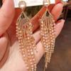 Exaggerated Temperament Tassel Fashion Celebrity Long Light Luxury High Sense National Style Accessories Zircon Earrings