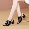 Fashion Fish Mouth Colored Back Hollow Button Strap Women's Sandals 2024 New Versatile Outwear Middle Heel Thick Heel Women's Shoes