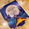 Bedtime Stories for Kids