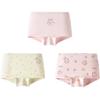 Хлопковые боксеры для девочек Balabala (3-Pack)