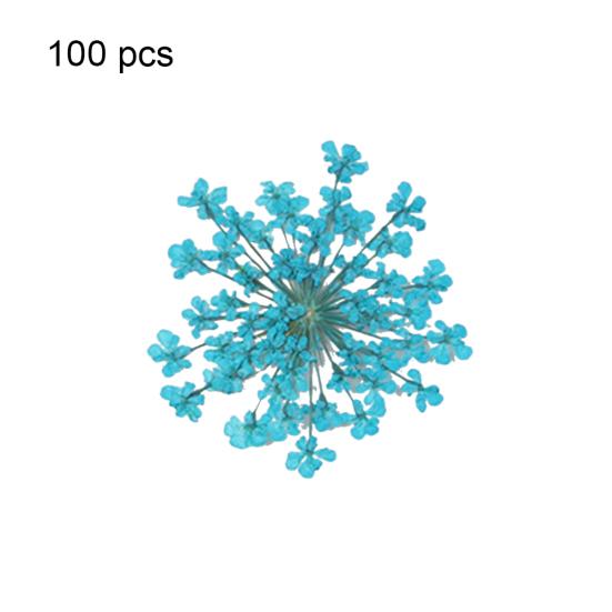 100шт прессованный сушеный цветок Ammi Majus из эпоксидной смолы для ногтей DIY Декор для телефона