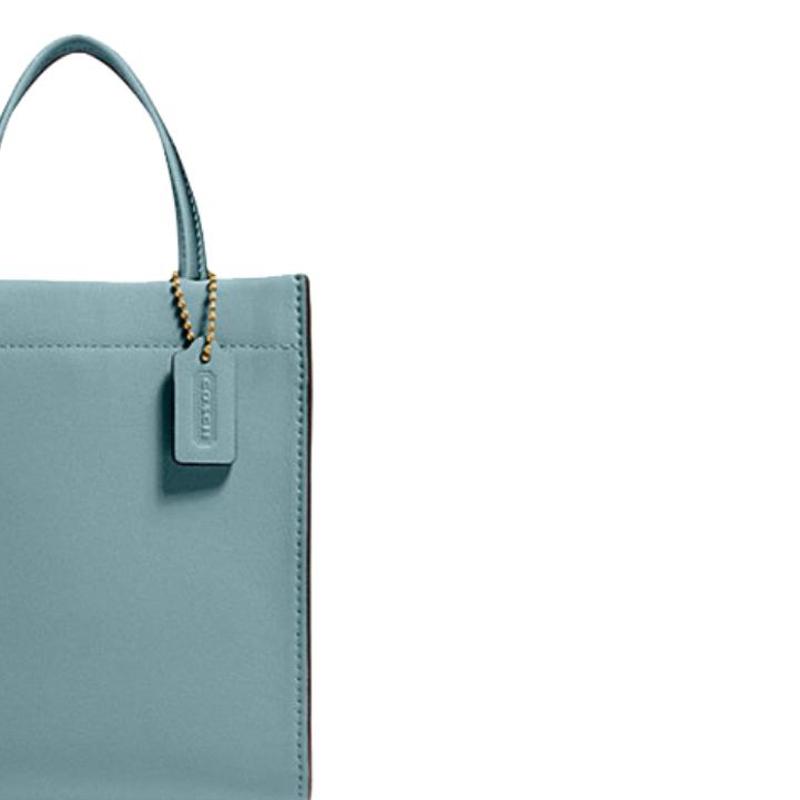 Coach Cashin 14 Leather Tote Bag Women Tote Mist-Blue Solid-Color Morandi-Color C4828-B4SG