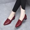 2025 Spring and Autumn Deep Mouth Pointed Middle Heel Fashion Middle Heel Work Shoes Internet Celebrity Explosion Slope Heel Spring and Autumn Embroid