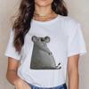 Women Cartoon Kawaii Animal Koala Print Women Tshirt Harajuku Ropa Mujer Graphic Plus Size TShirt Casual Streetwear  Tees
