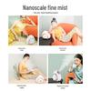 MKS Nano Hot and Cold Facial Steamer CN plug (adapter included)