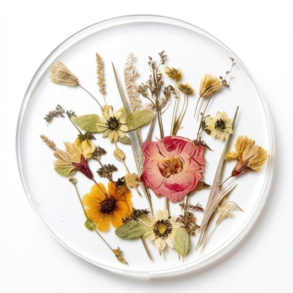 Round Floral Print Coasters Transparent Cup Mat Durable Insulation Pad  Tea Table