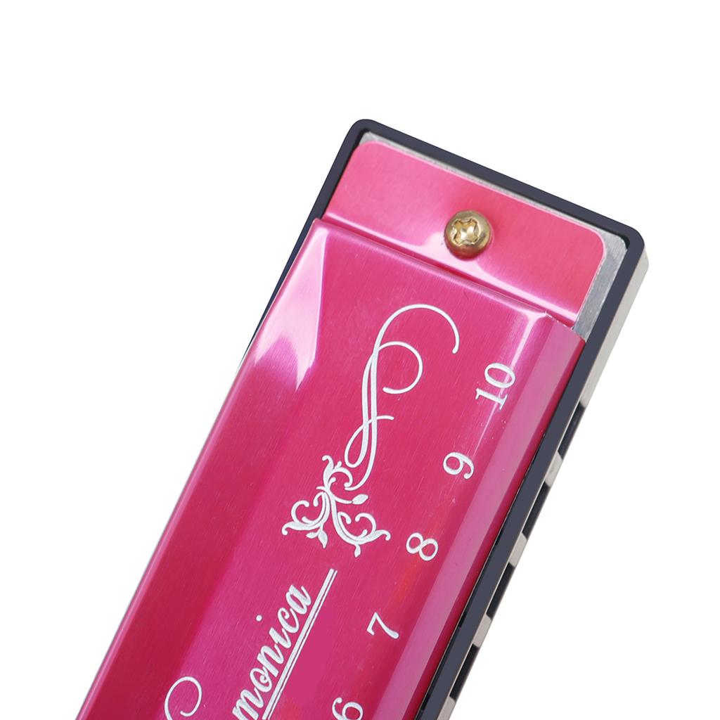 IRIN 10-луночная губная гармошка тональность C 20 тонов музыкальный подарок с футляром для хранения для начинающего студента