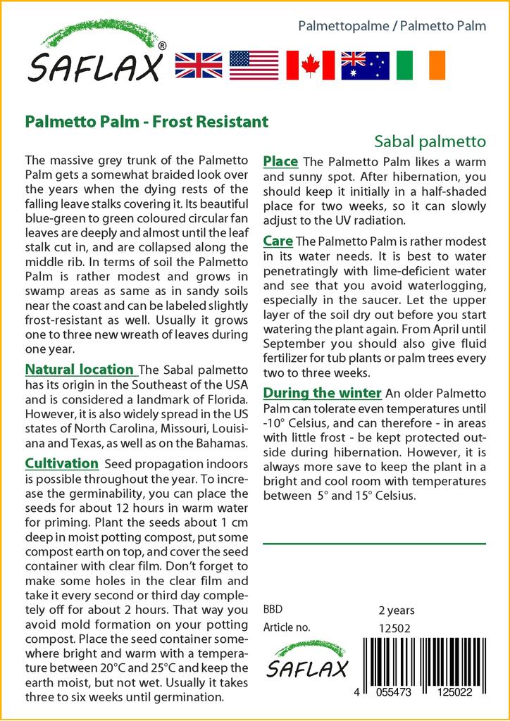 SAFLAX Пальметто Пальма - 8 семян - С горшечным субстратом для лучшего выращивания - Пальметто Сабаль