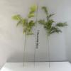 Realistic Artificial Fern Plant Branches Large Boston Fern Leaves Fake Plants  Outdoor Garden Decor